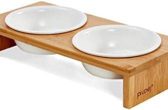 PiuPet® Comedero Gatos I 250ml I Apto para lavavajillas I Comedero Perros pequeños y Gato I Comedero Gato Elevado I Cuenco Gato/Bebedero Gatos I 2 Cuencos