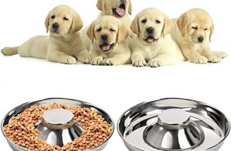 SOUJOY Paquete de 2 cuencos de acero inoxidable para cachorros, cuencos de alimentación lenta para mascotas, cuencos antideslizantes para alimentos y agua, medianos y grandes, mascotas