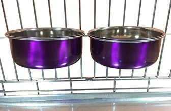 Ellie-Bo – Juego de Cuencos para Perros (0,9 L), Color Morado