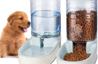 Edipets, Dispensador para Gatos y Perros, Comida y Agua, Pack 2 Unidades, Automático, 3.8 L c/u, Comedero, Alimentador y Bebedero para Mascotas (Gris)