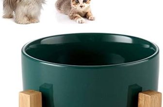 Hmpet Cuenco de cerámica para Gato Elevado Agua de Alimentos Platos Tazón básico para Perros con Soporte de Madera Proteger Las articulaciones del Cuello Tazones de alimentación para Mascotas