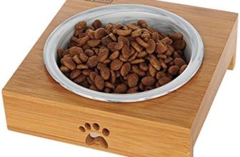 Tazón gato suministros tazón gato gato plato de comida de gato plato de comida recipiente for perros recipiente for perros arroz perro recipiente for perros mascota beber agua de alimentación de agua