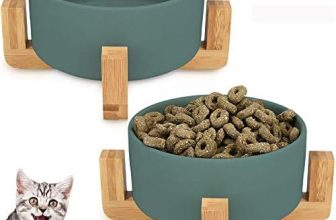 Hmpet Cuencos Elevados para Gatos Y Perros, Plato De Cerámica para Perros Elevado con Soportes De Madera, Sin Derrame Comedero para Mascotas para Comida Y Agua,Verde,M/850ml