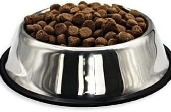 Mister Zoo – Comedero de Acero Inoxidable para Perros, Bebedero Portátil Antideslizante, Plato para Mascotas de Acero Inoxidable (22 Centímetros)