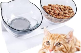 Edipets, Comedero Gato, Bebedero Gatos, Transparente, Tazón Doble Ajustable, Cuenco con Soporte Elevado, Agua y Comida, Evita Lesiones Cervicales (Transparente)