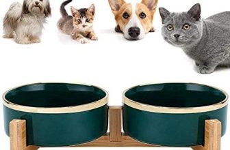 Hmpet Cerámica elevada Cuencos de Gatos Platos para Perros con Soporte de Madera, Cuencos de alimentación Doble para Mascotas con Ribete Dorado Comedero Tazón de Agua para Gatos y Perros,Verde,M