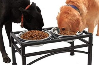 Funkeen – Cuencos elevados para perros, alimentador para mascotas, agua y comedero con 2 cuencos extraíbles de acero inoxidable (apto para perros grandes/2 cuartos de galón)