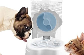 ibaste Agua automático para Mascotas,Alimentador automático Alimentos para Gatos domésticos – Comederos automáticos Desmontables para Mascotas para Perros, Hurones, erizos, Cachorros