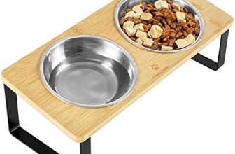 GUUSII HOME Cuenco elevado inclinado para gatos, cuencos de alimentación para gatos, platos para gatos, platos de comida para gatos, juego de 2 platos para mascotas, anti vómitos en interiores con
