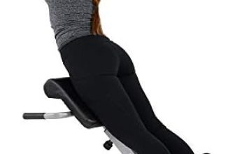 Sunny Health & Fitness Silla romana Hyperextension de 45 grados, acero, gris, talla única