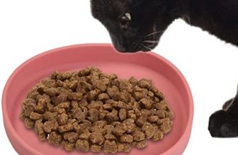 Zhiding Comedero para Gatos | Agua para Perros Silicona – Tazón Comida para Gatos a Prueba derrames, contenedor alimentación Antideslizante para Mascotas para Interiores