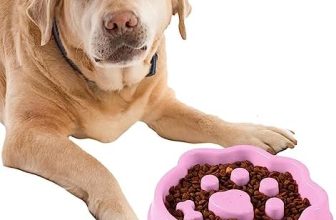 Zceplem Comedero Lento para Perros – Comedero para Perros Cuencos para alimentación Lenta | Cuencos para Perros, Cuenco para Mascotas con Rompecabezas Alimentos para una alimentación